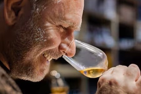 Port Wine and Gaia Cellars: Essential Guide 🍷