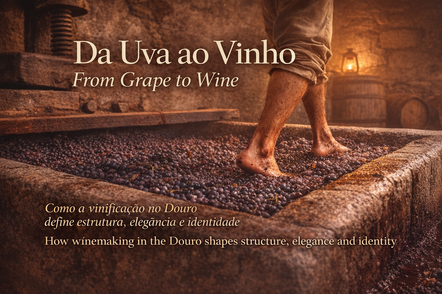 Da Uva ao Vinho: Como a Vinificação no Douro Define Estrutura, Elegância e Identidade